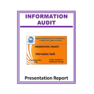 INFORMATION AUDIT Presentation Report