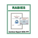 Rabies Seminar Report With PPT